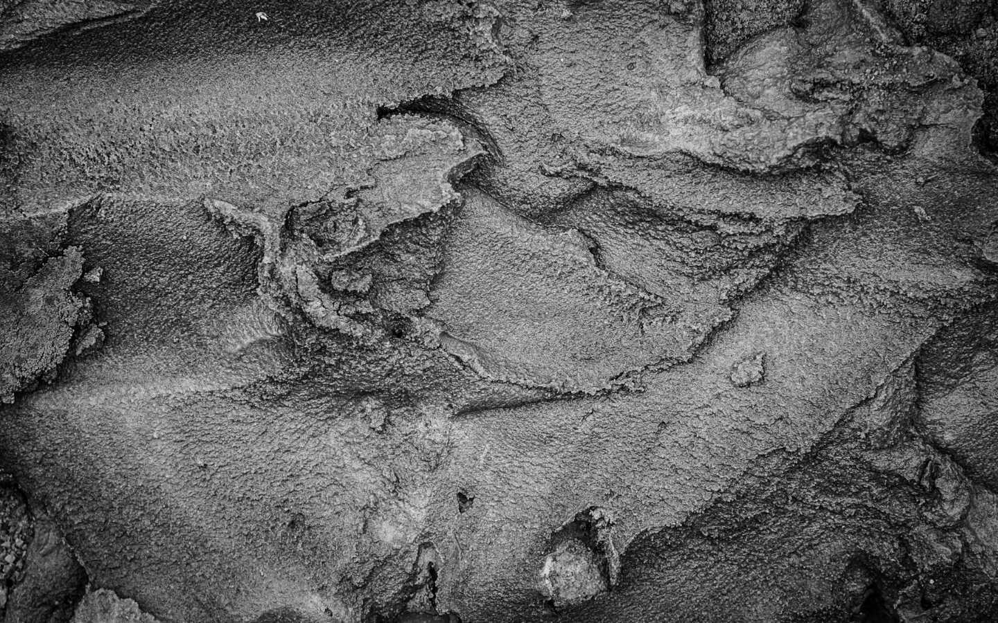 black and white filter photo effect of concrete texture texarkana ar